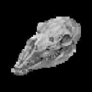 Meet your Posher, Shan